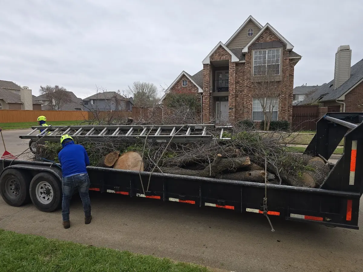 Expert Lot Clearing with proper safety equipment in Riverdale